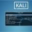 Kali Linux installeren op een flashstation of op een externe schijf als volwaardig besturingssysteem Linux installeren op een externe harde schijf