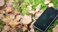 Как да намерите изгубен телефон с Android: всички методи и препоръки